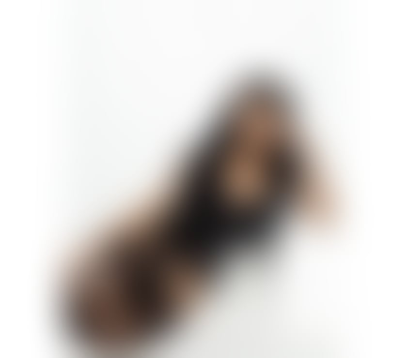 Escorts and Massages Limehouse Tower Hamlets - East London - Photos for Camila 🇧🇷new in londom🍑party