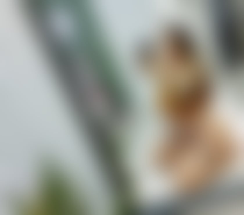 Escorts and Massages York York - Photos for New in your town first time Melissa call me