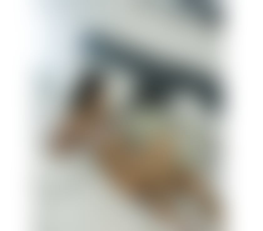 Escorts York York - York - Photos for Karlaa new in town💕