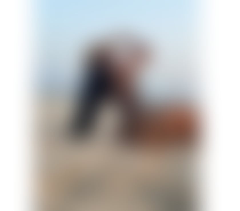 Escorts Nottinghamshire Nottingham - Photos for 🇧🇷JADE BRAZILIAN 🔥 BIG ASS 🍑 BEST SERVICE 💦