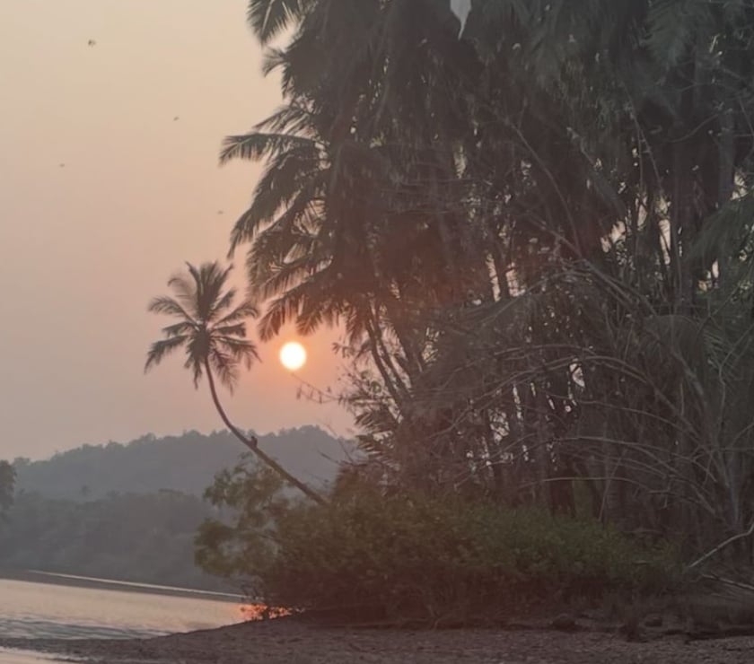 Escorts Burnham-on-Sea Somerset - Photos for Mature full body massage