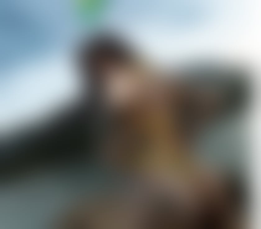 Escorts West Midlands Birmingham - Photos for ALYYYBRAAZILIAN