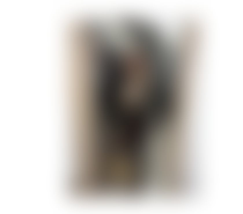 SEM PRESSA💕MENTE ABERTA 👌MELHOR GFE&PARTY