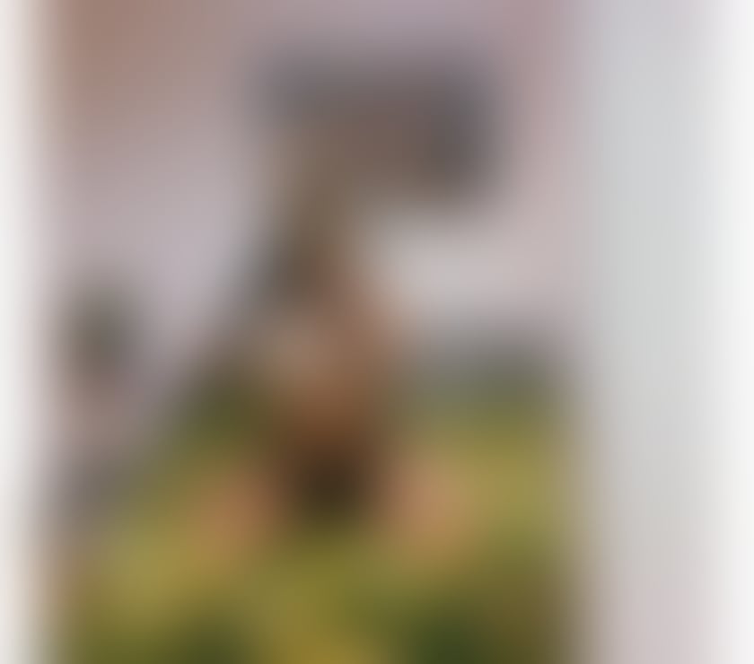 Escorts West Yorkshire Leeds - Photos for MISS Sara—BIGG ASS💥PARTY GIRL