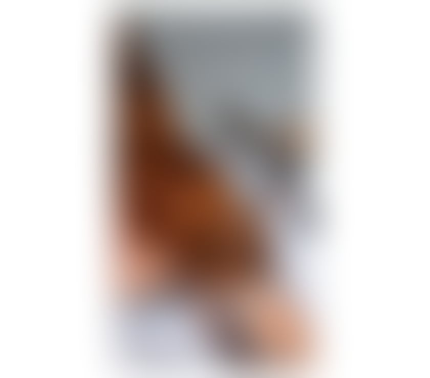 Escorts Hampshire Portsmouth - Photos for 💥💋NEW ARRIVAL! POLISH SWEET GIRL 🇵🇱💋