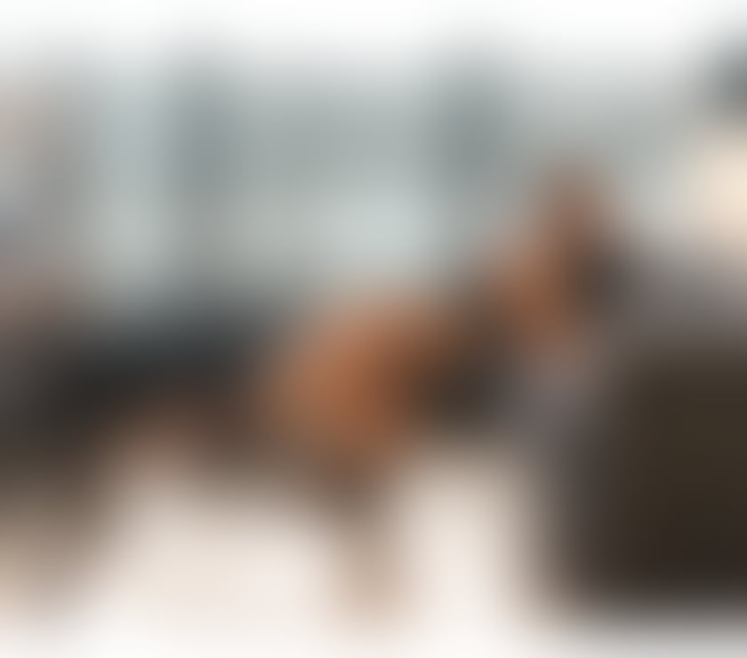 Escorts Edinburgh Edinburgh - Edinburgh - Photos for BABY, I'M BACK, LOVES