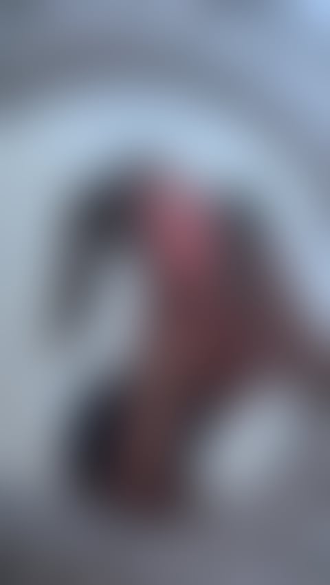 Escorts East London Limehouse - East London - 