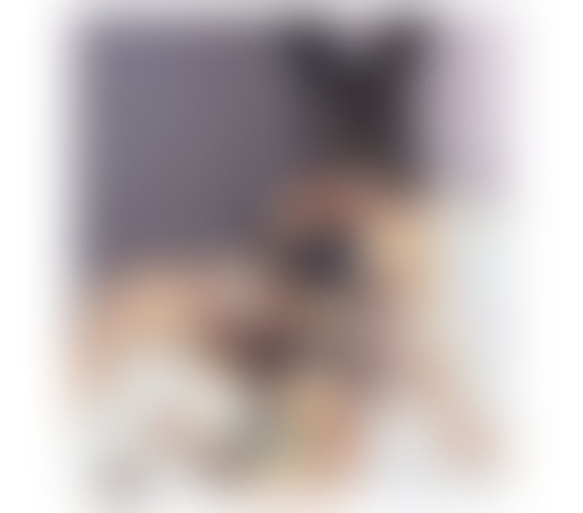 BRUNA PARTY GIRL NO RUSH 🦋🙈🍾🥂