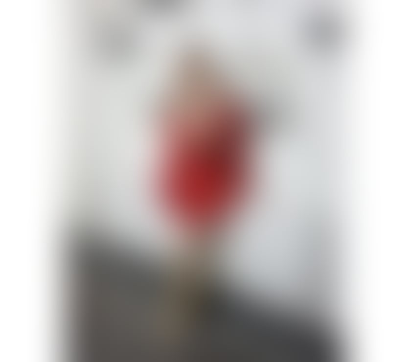 Escorts Leicestershire Charnwood - Photos for Carla party girl 💙♥️♥️