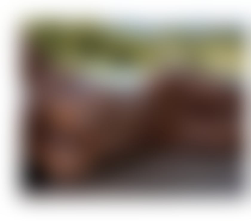 Escorts Gloucestershire Gloucester - Photos for 💖big b👀m 💖best OWO🤤 Nicauris