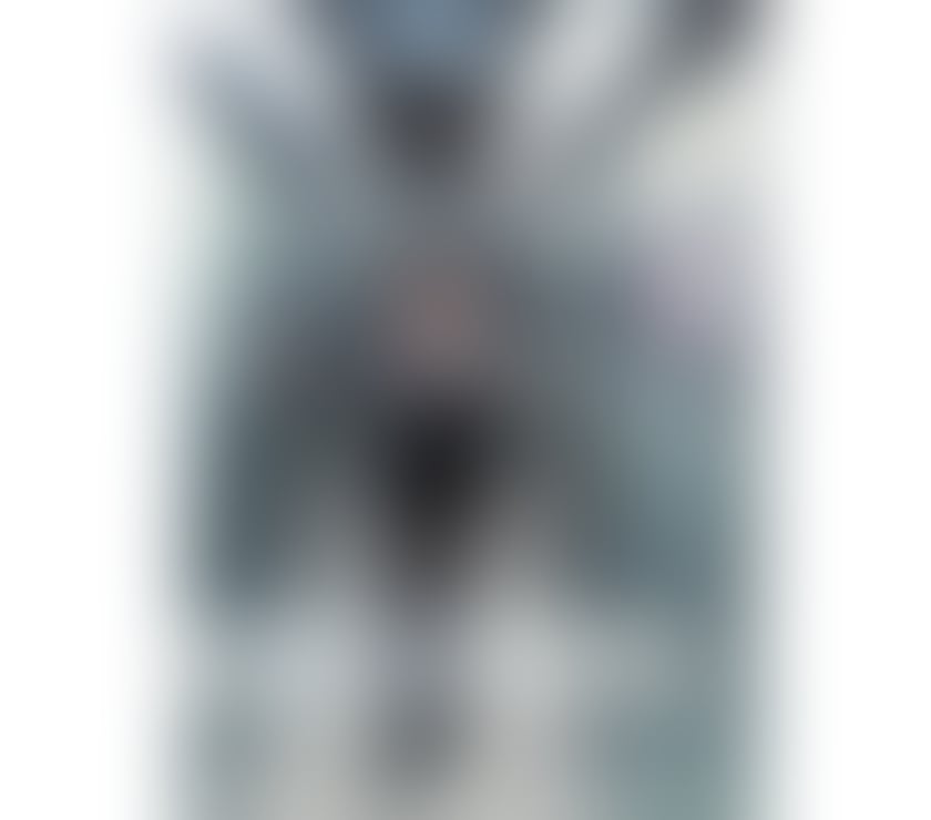 PETTS WOOD PREMIUM - Model Figure Asian Escort