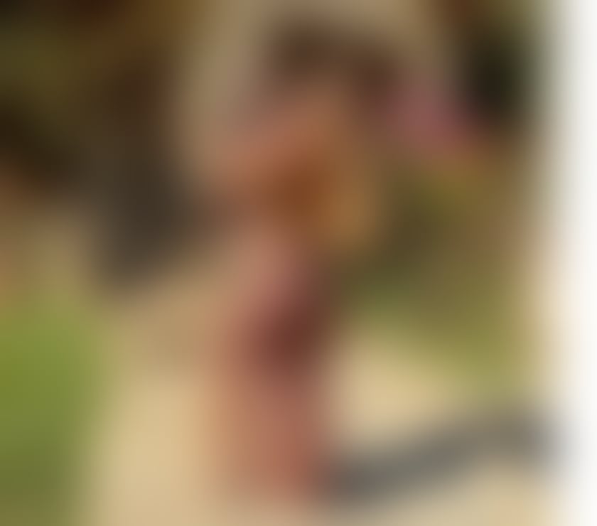 ❤️ HOT AND SPICY NIGHTS COMME PARTY 🍾🩸🍷