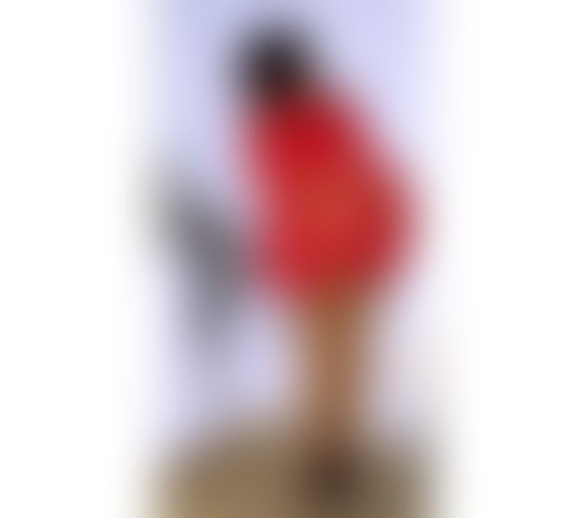 Escorts Glasgow Finnieston - Glasgow - Photos for Memorable time with me this weekend only