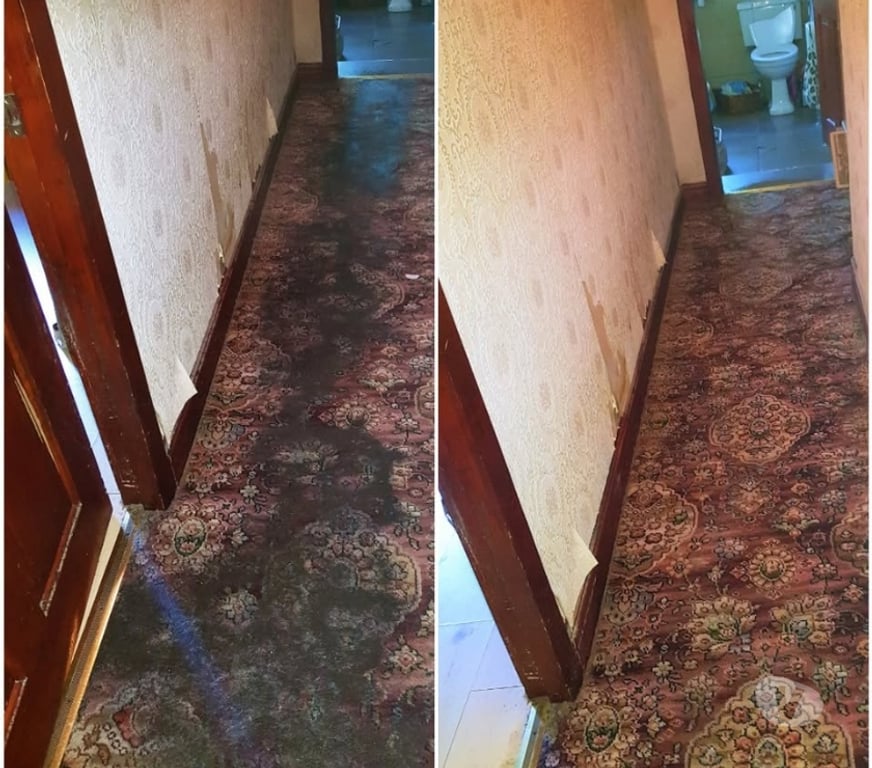 Adult Entertainment Merseyside Knowsley - Photos for Naughty Carpet Cleaner