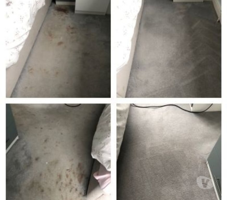 Adult Entertainment Merseyside Knowsley - Photos for Naughty Carpet Cleaner