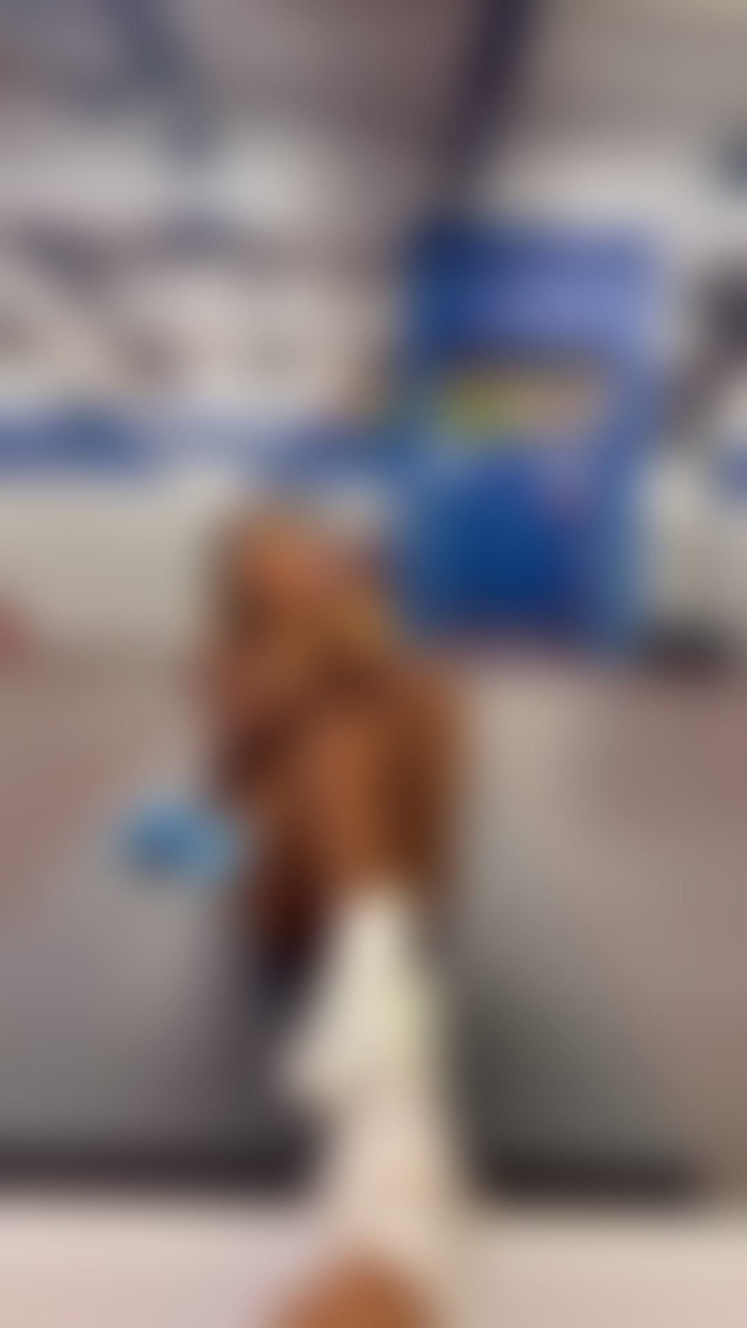 Trans Escorts North London Tottenham - North London - 