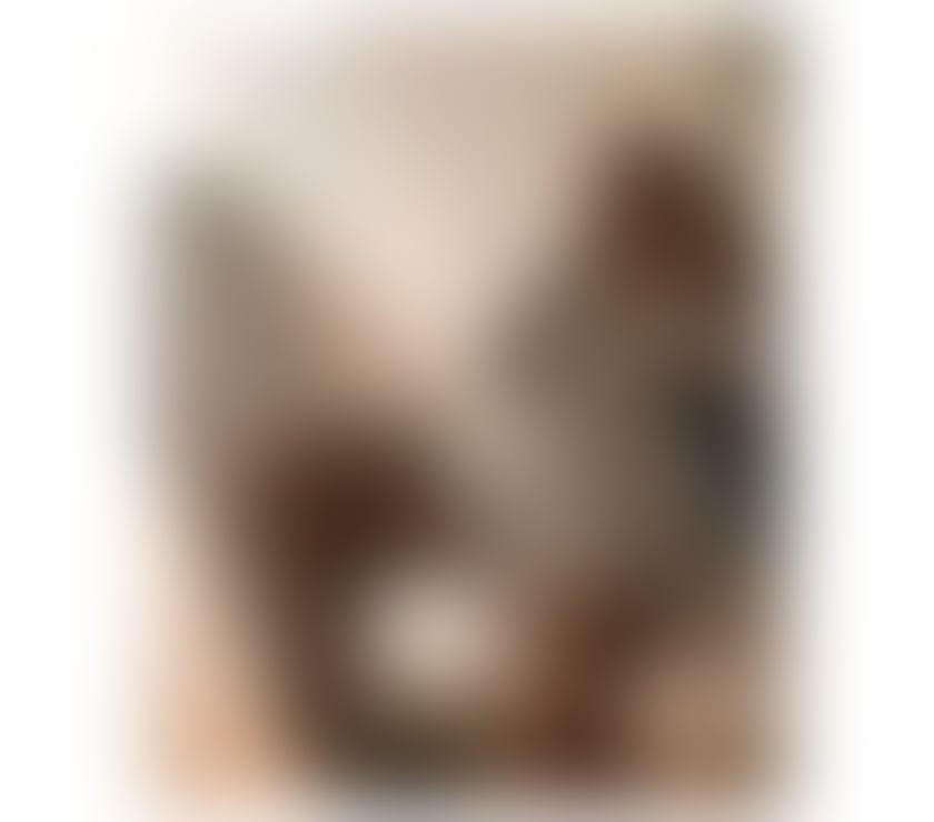 Escorts Tyne and Wear Newcastle upon Tyne - Photos for Party girls ❤️❤️❤️ hoott girls ❤️❤️