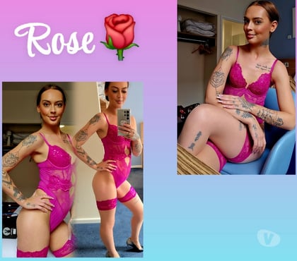  Escorts Manchester City Centre Manchester - Photos for White British Rose 🌹 07300647789