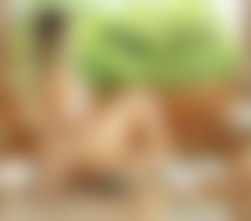 Ivy Brazilian 🍑🇧🇷 Amazing massagem 🔥