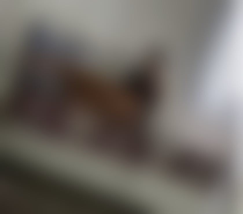  Escorts Darlington Town Centre Darlington - Photos for 🔥❤️ I’m glad to see you here ❤️🔥