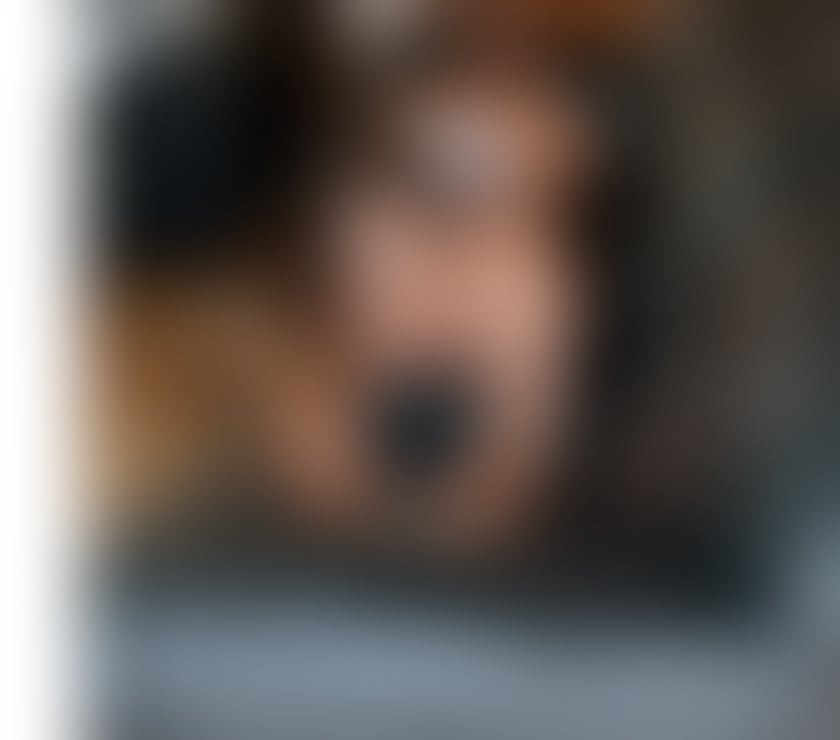 Trans Escorts Gloucestershire Gloucester - Photos for NATASHA BEST BJ IN TOWN NO RUSH TS GIRL GENUINE ONLY OUTCALL