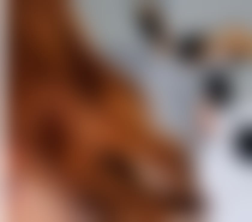 Escorts East London Redbridge - Photos for SWEET POLISH SELENA REAL PICS