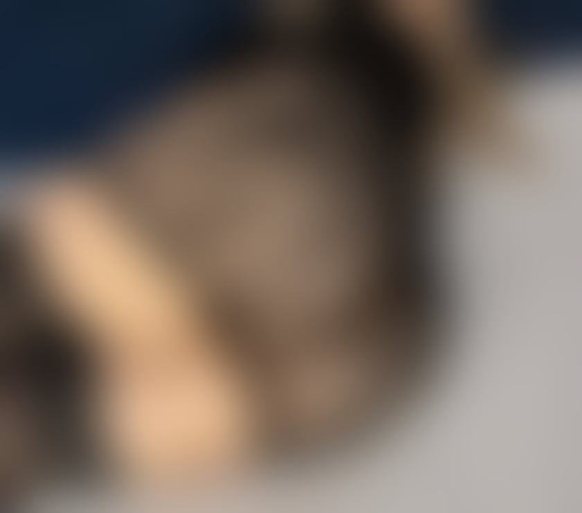 Escorts North London Edmonton - North London - Photos for Bruna 🔥 sexy blond milf 🇧🇷 first time in Edmonton