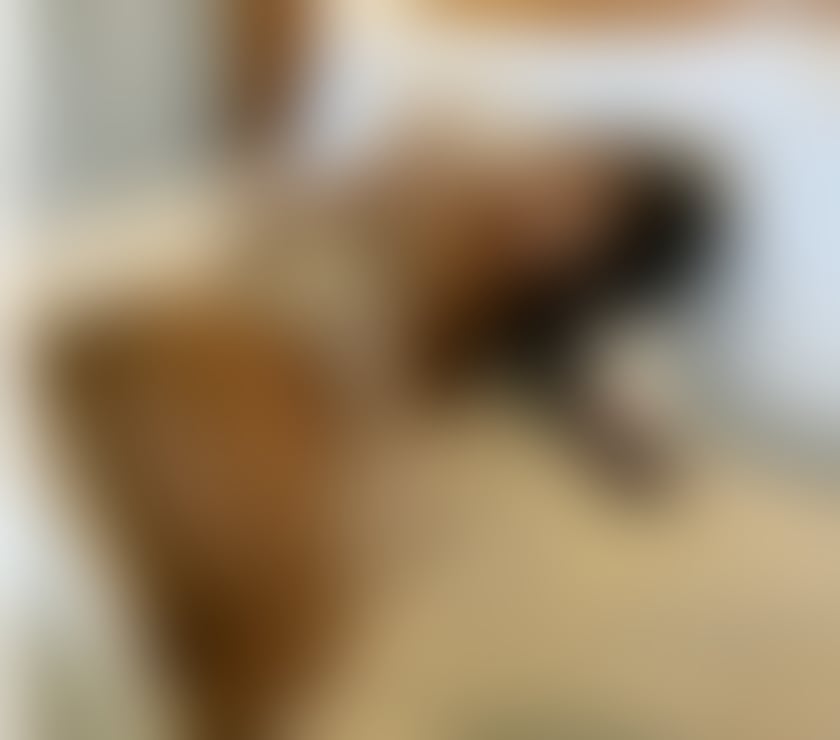 Escorts Caernarfon Gwynedd - Photos for ✨PREMIUM STAR 💖 SINGAPORE QUALITY I AM NOT FAKE