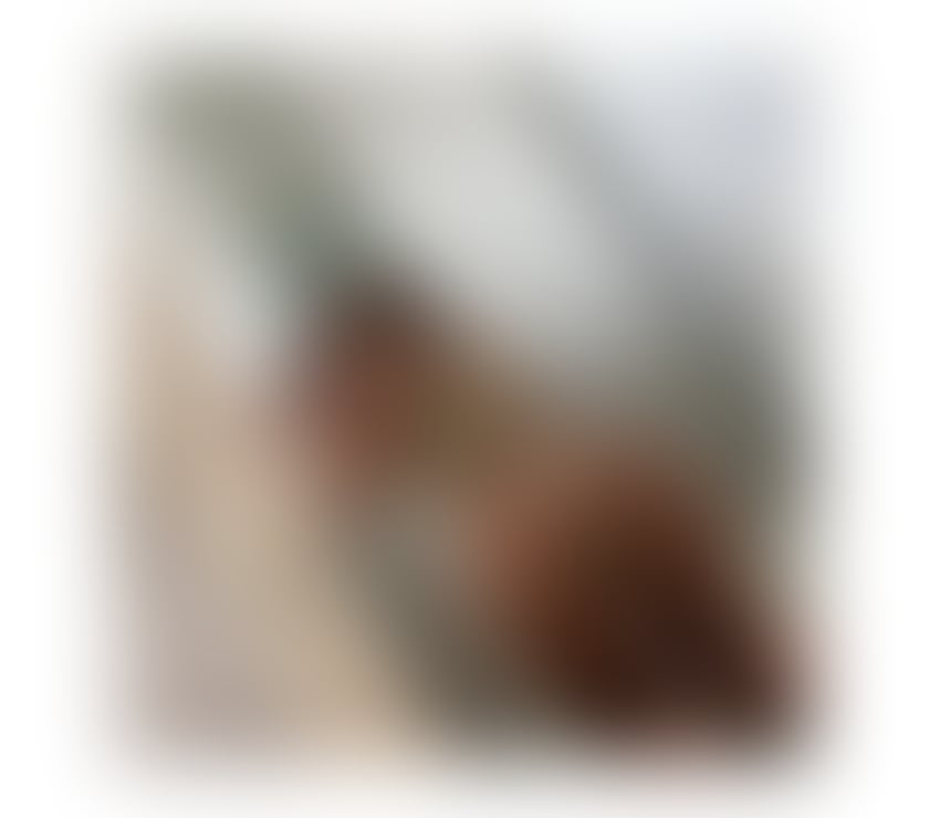 Escorts Oxfordshire Oxford - Photos for High class escort in you’re town ❤️