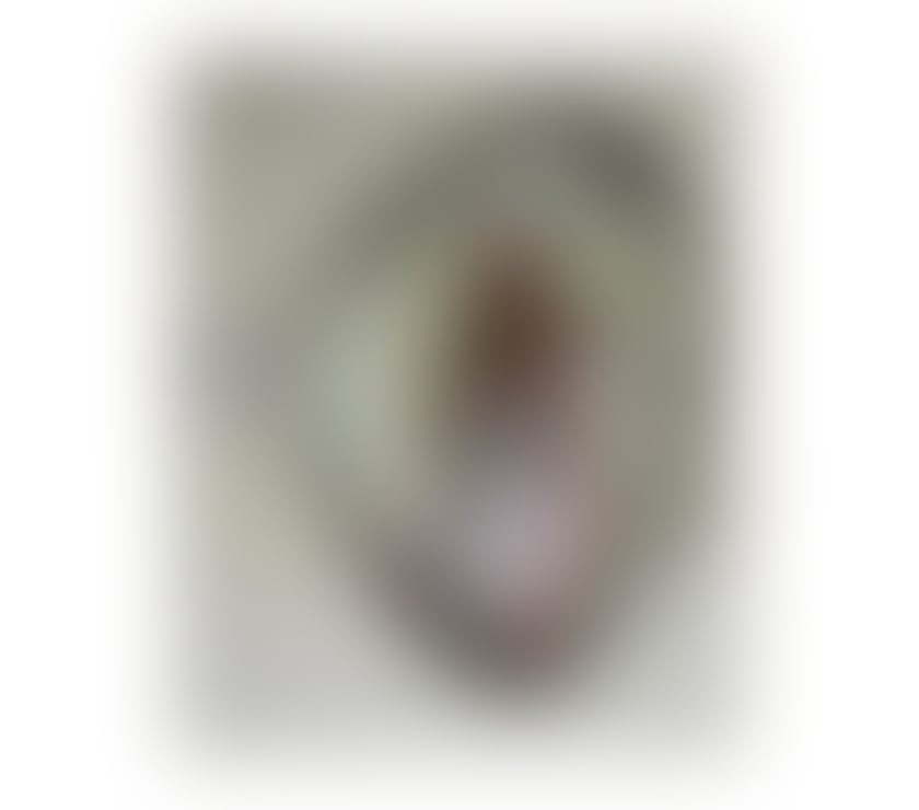 Escorts Somerset North Somerset - Photos for High class escort in you’re town