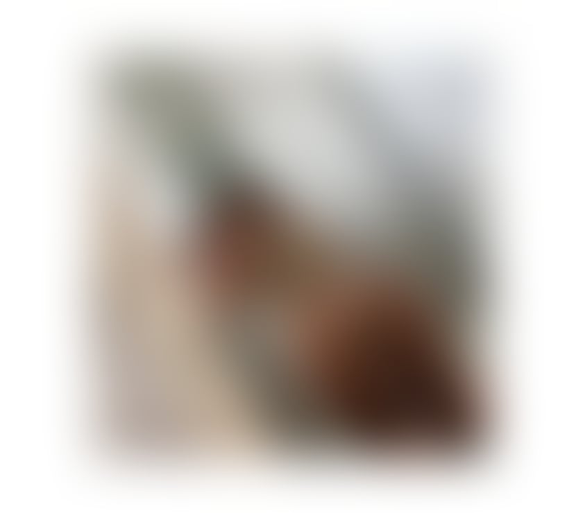 Escorts Somerset North Somerset - Photos for High class escort in you’re town