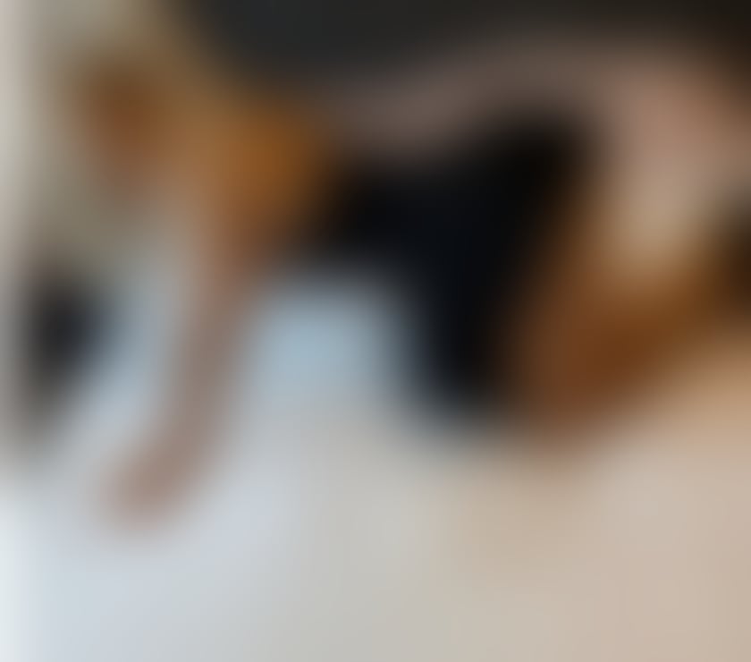 JULYA❤️PARTY GIRL❤️JUST OUTCALL