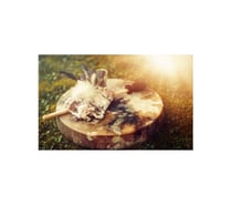 Holistic Healing Treatments - Massage