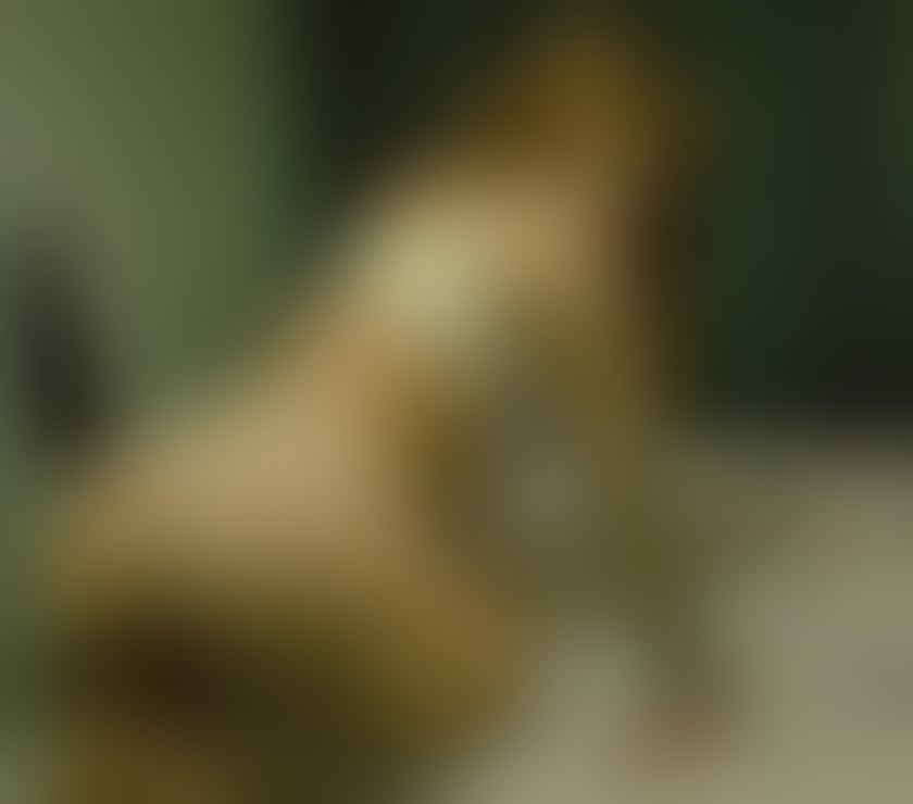 Escorts Gloucestershire South Gloucestershire - Photos for 😍ANGELIKA 👌🏻REAL PICTURES 💋INCALL