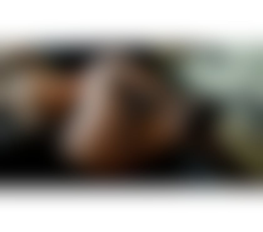 Escorts Tettenhall Wolverhampton - Photos for ❤️❤️SELINA❤️NEW NEW