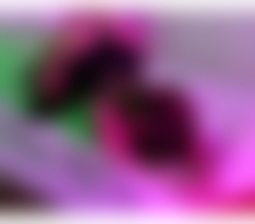 Escorts Cardiff Cardiff City Centre - Cardiff - Photos for 🩷 SWEET ALEXA - BEST SERVICE EVER 🩷