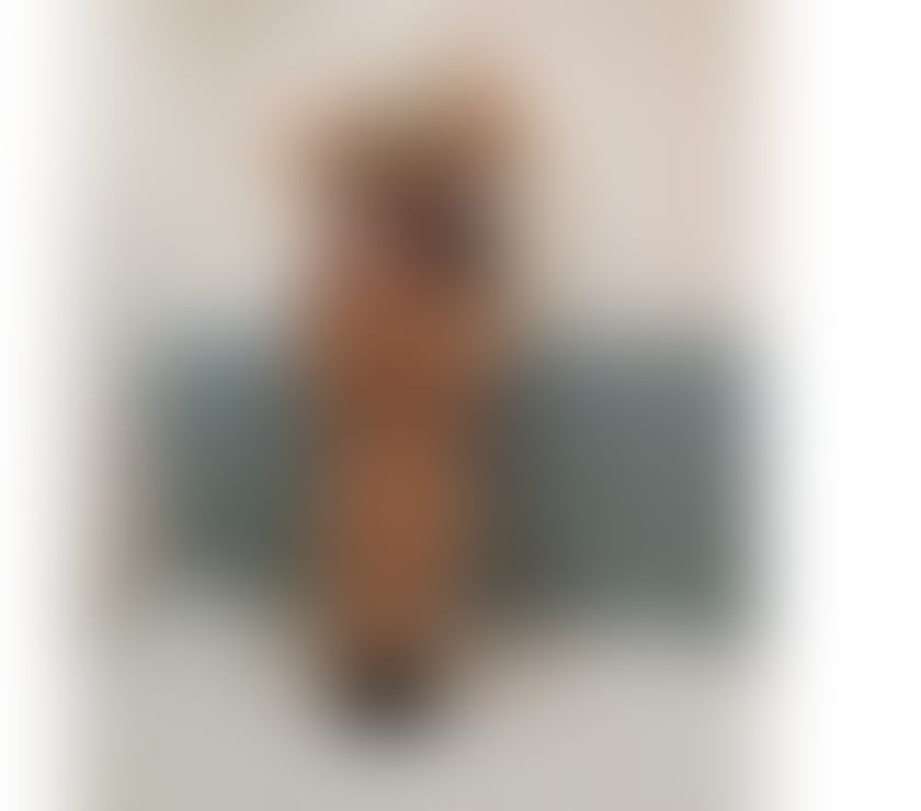 Escorts Wiltshire Swindon - Photos for POLISH BLONDE Vanessa * OWO * GFE * FRENCH KISSING *