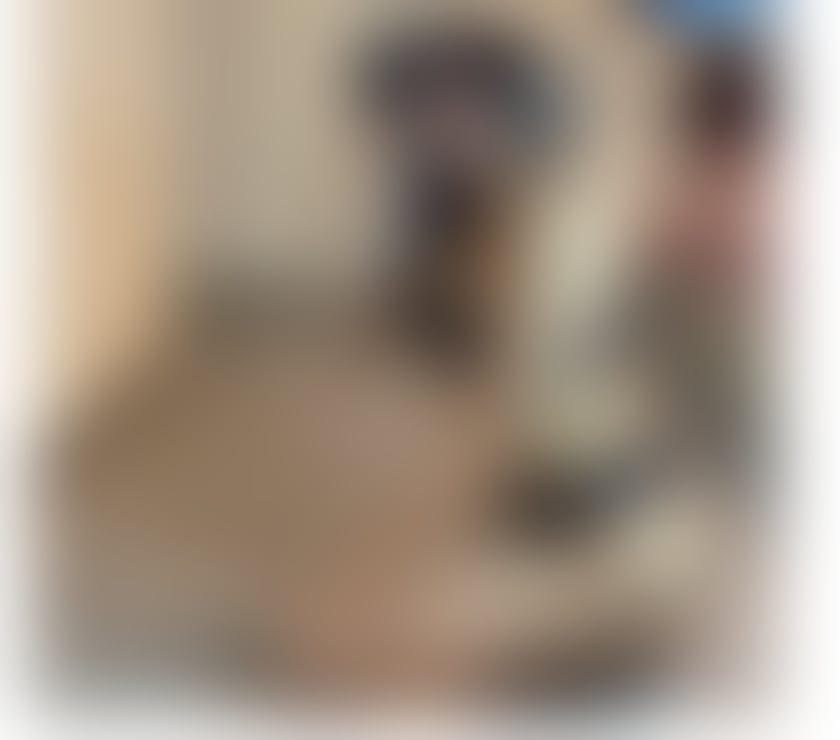 Escorts North Yorkshire Harrogate Town Centre - North Yorkshire - Photos for Lia new best service ONLY OUT CALL