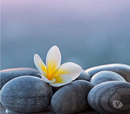 Photos for Total Relaxation