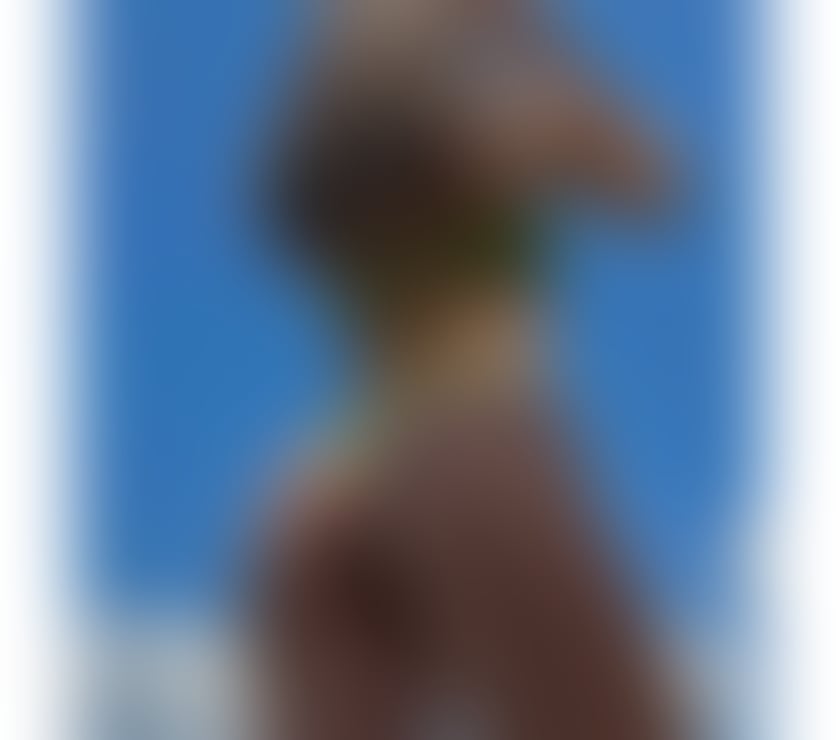 Escorts Highland Inverness - Highland - Photos for MELLY🌹🍯 GIRL ANGELIC 🎉🥵