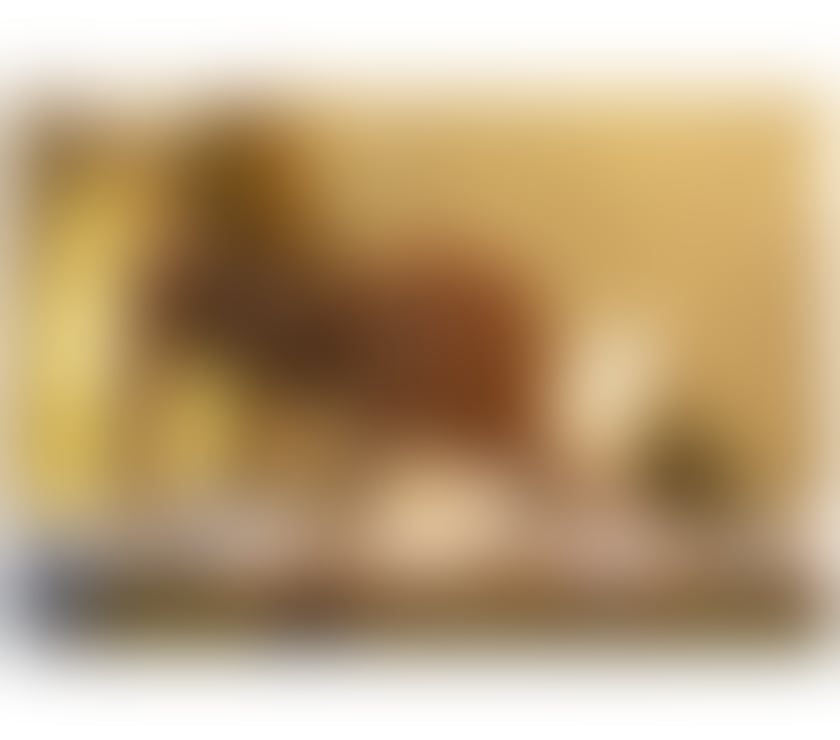 Escorts Norfolk King's Lynn and West Norfolk - Photos for 🥂Bruna Party 🥂🇧🇷NEW IN TOWN