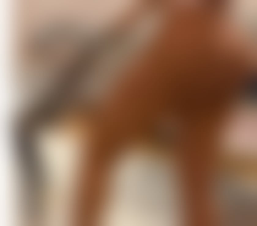 ✨🎉Carol Brazilian Big Ass 🔥❤️‍🔥