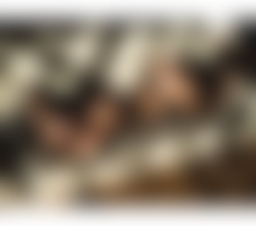 Escorts Stirling Stirling City Centre - Stirling - Photos for Luna Brazilian 🇧🇷 New in Town 💕