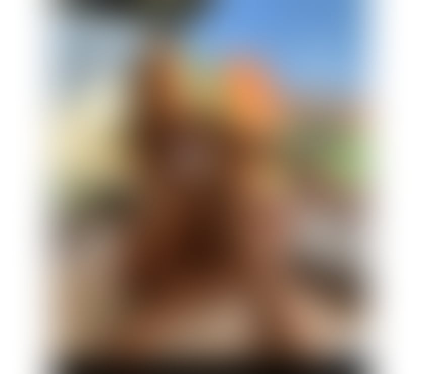 Escorts Croydon Croydon - Photos for New Girl in town! Hot and Horny! call me now❤️