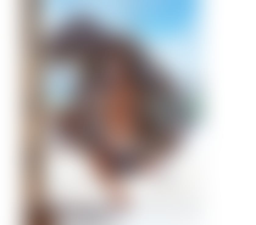 Trans Escorts Devon Plymouth - Photos for LEXA TS GIRL 🇧🇷 Brazilian