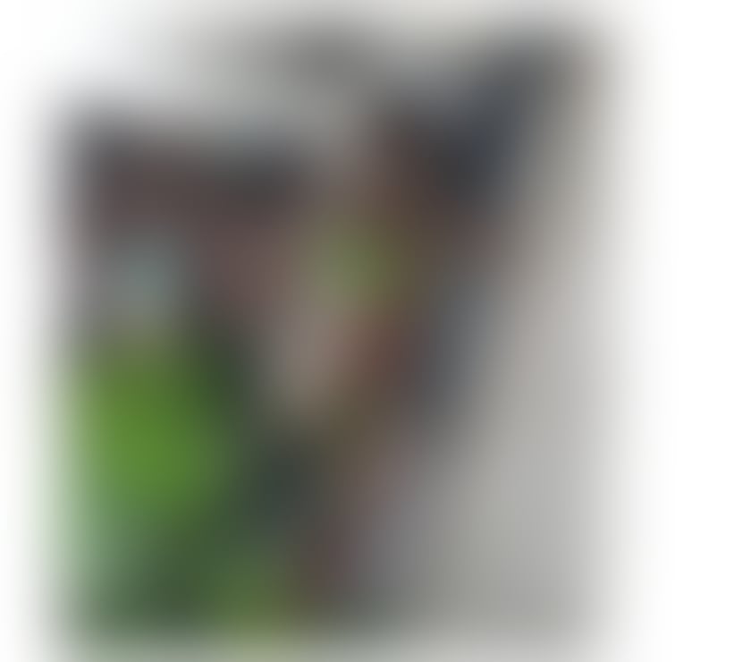 FLOR DE LIZ 🇧🇷🤌🏻🔥