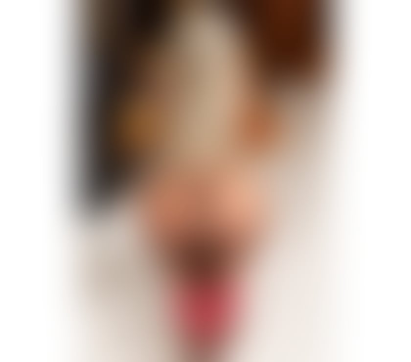 Escorts Milton Keynes City Centre Milton Keynes - Photos for 🇧🇷 KELY MILLER 🥵 MORE EXPERIENCE 💯 REAL 😘