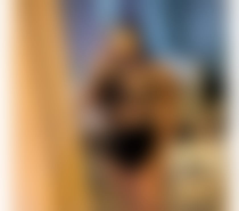 Escorts Kent Medway - Kent - Photos for HOT BRAZILIAN JULIA 🔥🥂❤️