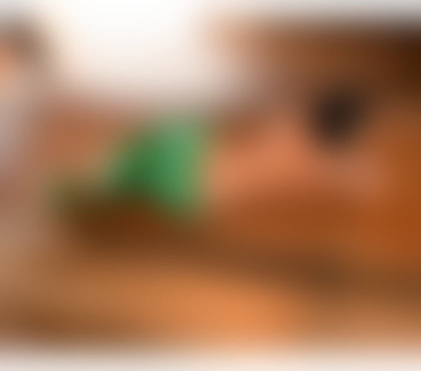 Escorts Lancashire Preston - Photos for NATALIA MILLANO 💕BRAZILIAN GIRLFRIEND HIGH CLASS GIRL