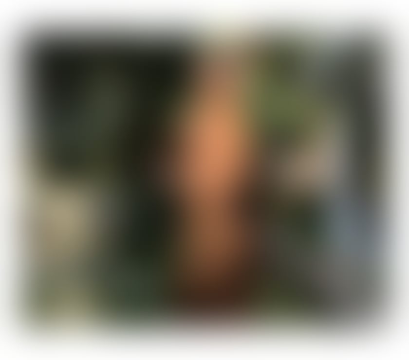 Escorts Conwy Llandudno - Conwy - Photos for BRAZILIAN DOMINATRIX🌶️GOOD AND FULL SERVICE